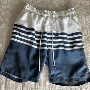 Blue and White Striped Men's Swim Shorts